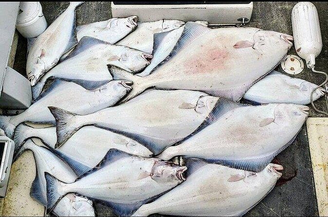 Private Fishing Adventure in Icy Strait Hoonah Alaska - The Itinerary in Detail