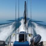 Private Fishing Adventure on the St. Lawrence River - Who Is This Tour Best For?