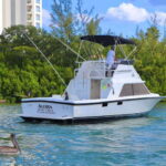 Private fishing charter 31 feet for maximun 6 people - The Itinerary Breakdown