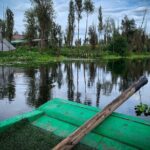 Private Food Tasting and Filmmaking Tour in Mexico City - Exploring Mexico City Through Film and Food