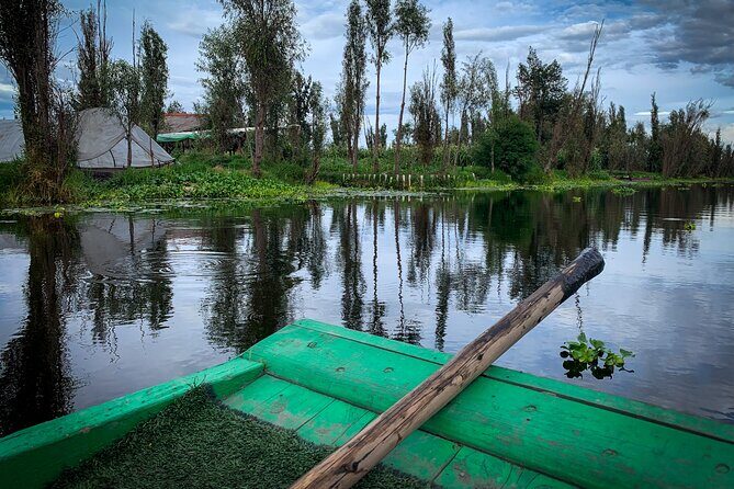 Private Food Tasting and Filmmaking Tour in Mexico City - Exploring Mexico City Through Film and Food