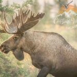 Private Full Day Photography Workshop of Fairbanks - The Sum Up