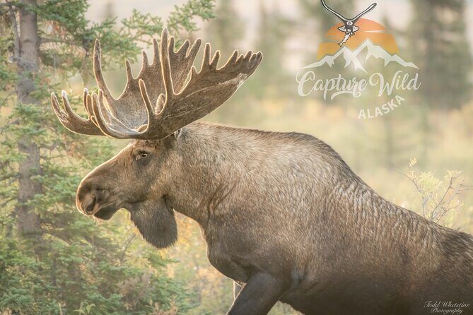 Private Full Day Photography Workshop of Fairbanks - The Sum Up