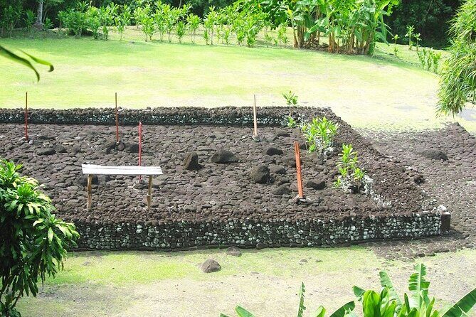 Private Full Day Tour of Tahiti - Who Is This Tour Best Suited For?