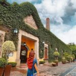 Private Full-Day Tour to Tequila Visiting Tequilera José Cuervo - Who Will Love This Tour?