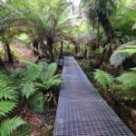 Private Great Ocean Road & 12 Apostles Experience - The Value of This Tour