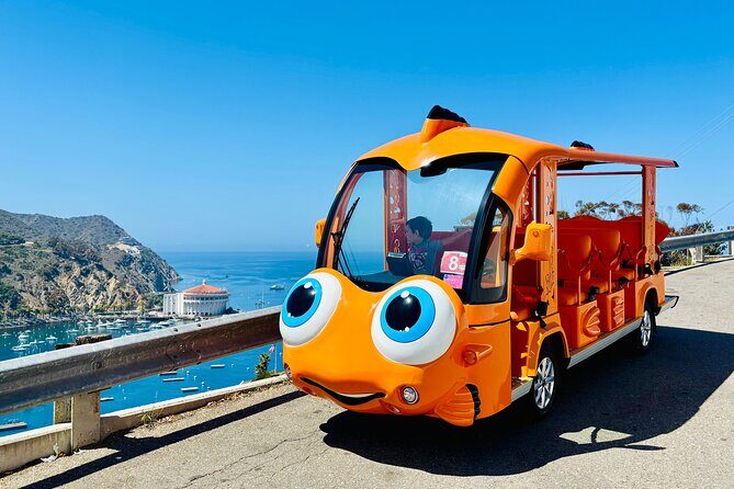 Private Guided City Tour up to 12 Passengers - The Itinerary and What to Expect