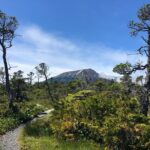 Private Guided Hike in Sitka, Alaska - Who This Tour Is Best For