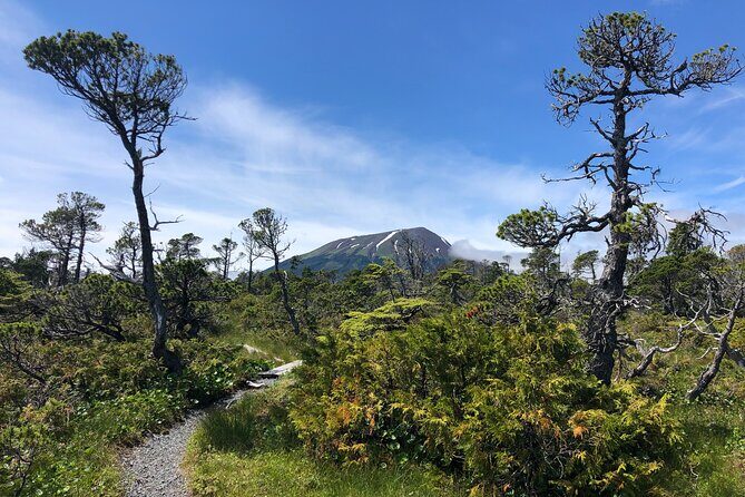 Private Guided Hike in Sitka, Alaska - Who This Tour Is Best For