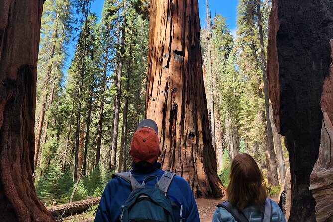 Private Guided Hiking Tour - Sequoia National Park - The Itinerary: What to Expect