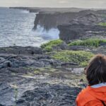 Private Guided Kilauea Volcano Tour - The Price and Its Value