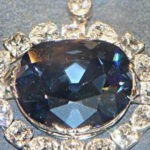 Private Guided Tour of The Natural History Museum - What to Expect During Your Visit