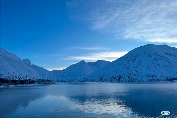 Private Guided Tour Whittier Cruise pick up - What the Tour Offers in Terms of Value