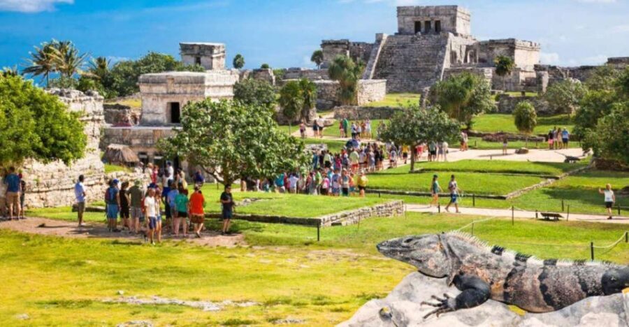 Private Guided Tulum Ruins For History Lovers - What Makes This Tour Stand Out?