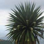 Private Half Day Bird Watching Experience - In-Depth Look at the Tour Itinerary