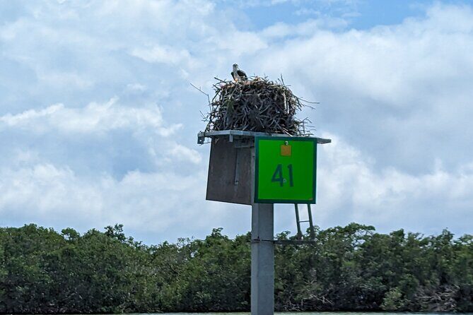 Private Half Day Boat Tour in Sarasota, Florida - Who Will Love This Experience?