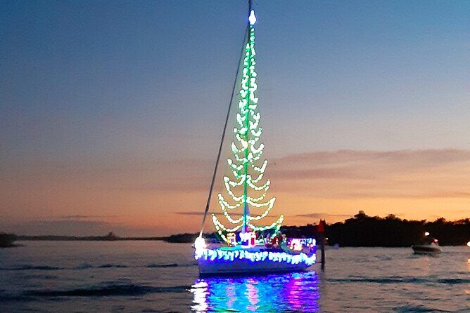 Private Half-Day Charter Tour in Naples, Florida - What Makes This Tour Stand Out