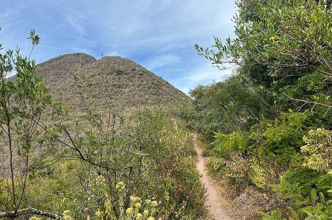 Private Half Day Hiking Experience in Picacho - What to Expect on the Trail