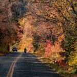Private Half-Day Scenic Drive Through Salt Lake's Best Canyons - Transportation and Timing