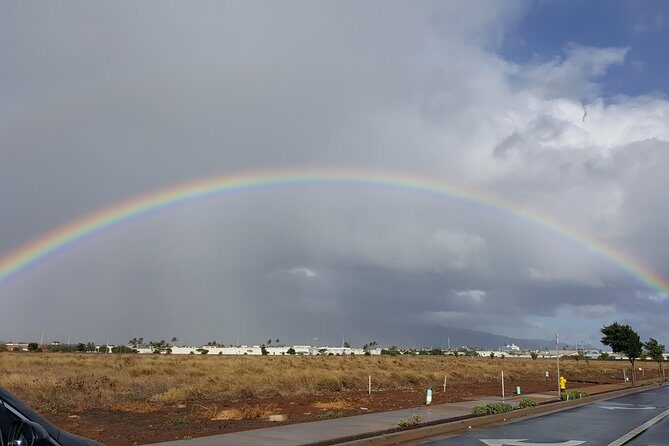 Private Hana, Ocean, Turtle Town, Winery Tour of Maui - Who Will Love This?