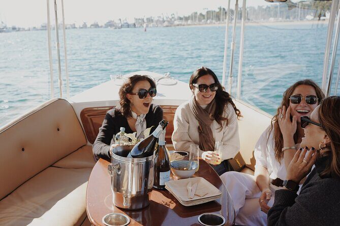 Private Harbor Cruise on Electric Boat in Santa Barbara - What to Expect During the Tour