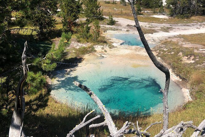 Private Hidden Gems of Yellowstone! Lunch w/ family friendly hikes included! - Price and Value