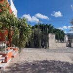 Private: Hierve El Agua, Mitla, Mezcal and Lunch in Maguey Fields - Lunch and Mezcal Tasting in Santiago Matatlan