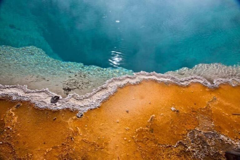 Private Highlight's Tour of Yellowstone National Park - What to Expect from the Experience