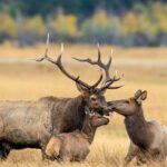 Private Hiking Tour Experience at Rocky Mountain National Park - Exploring the Itinerary