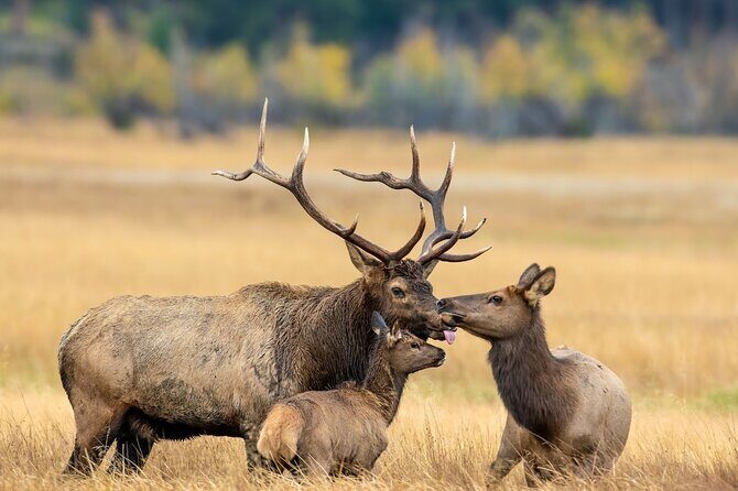 Private Hiking Tour Experience at Rocky Mountain National Park - Exploring the Itinerary