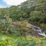 Private Hilo Shore Excursion - Botanical Gardens & Waterfalls - The Practicalities: What to Keep in Mind