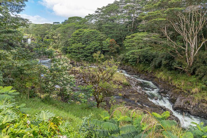 Private Hilo Shore Excursion - Botanical Gardens & Waterfalls - The Practicalities: What to Keep in Mind