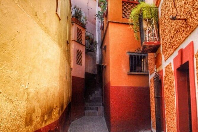 Private History & City Walking Tour of Guanajuato - Analyzing the Value