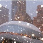 Private Holiday City Tour - The Pros and Cons Based on Feedback and Features