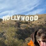 Private Hollywood Sign Hiking Tour with Select Hotel Pickup - Authentic Feedback and Insights
