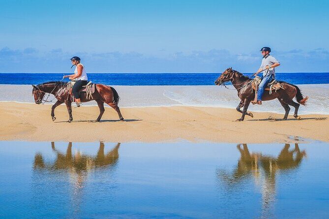 Private Horseback Riding in Cabo San Lucas - Considering the Cost