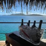 Private - Introduction to wine - Bora Bora Wine Tastings - What to Expect from the Tour