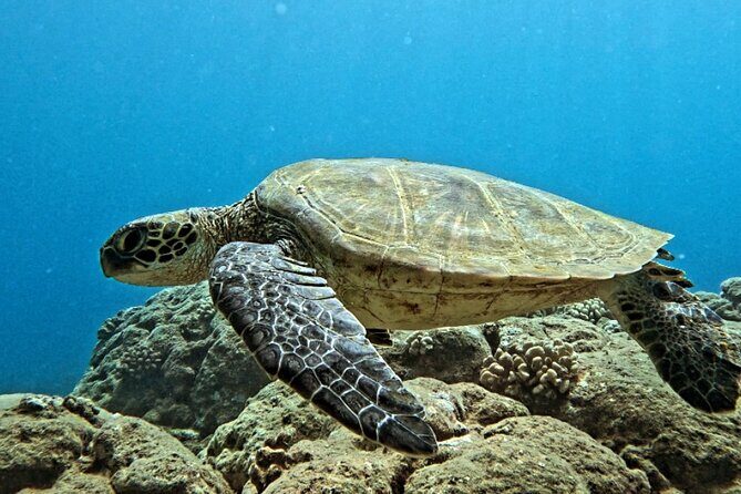 PRIVATE Introductory Discover Scuba Diving For Beginners - Final Thoughts