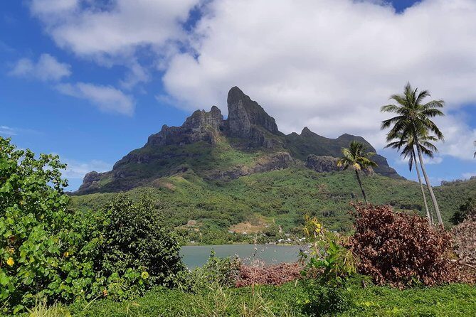 Private Island Tour by ATV / QUAD - Authentic Experiences from Reviews