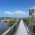 Private Jeep tour to Punta Sur park + snorkel + Lunch - The Experience: What Really Sets It Apart