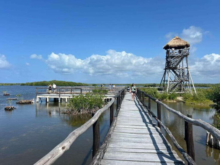 Private Jeep tour to Punta Sur park + snorkel + Lunch - The Experience: What Really Sets It Apart