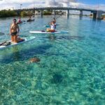 Private Jupiter Island Guided Paddle Boarding Tour - The Experience of Paddleboarding with a Naturalist Guide