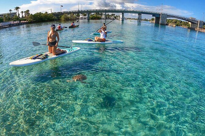 Private Jupiter Island Guided Paddle Boarding Tour - The Experience of Paddleboarding with a Naturalist Guide