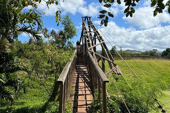 Private Kauai Island Tour : Waimea Canyon, Kalalau Lookout + More - The Heart of the Tour: Waimea Canyon and Kalalau Lookout
