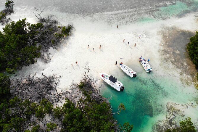 Private Key West Fishing & Sandbar or Snorkel Charter - Deep Dive into the Fishing Experience