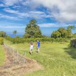 Private Kona Coffee and National Historic Parks Tour - Who Should Consider This Tour?