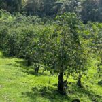 Private Kona Cruise Ship Excursion Kona up to 14 People - Analyzing the Value and Experience