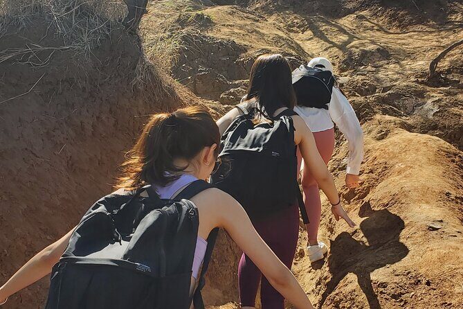 Private Lanikai Pillbox Hike and Lanikai Beach Excursion - Whats Included and Whats Not