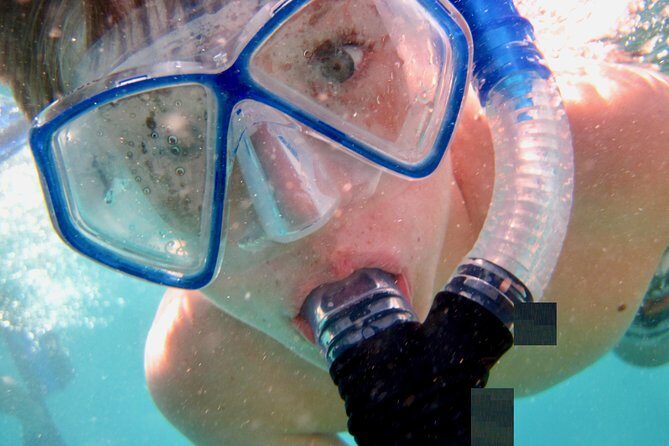 Private Looe Key Snorkel from Big Pine Key - Who Should Consider This Tour?