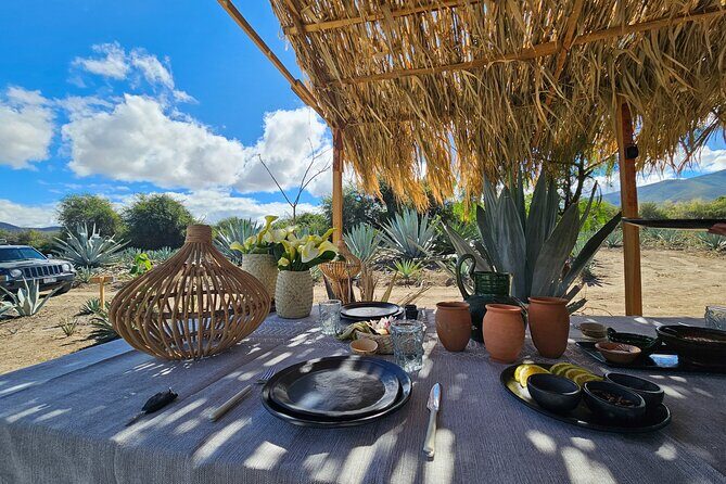 Private Lunch in Mezcal Maguey Fields - Who is this tour best for?